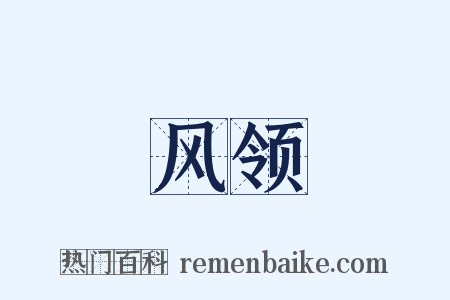 风领是什么意思的图片